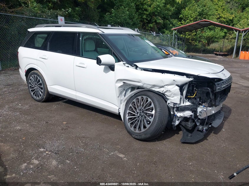HYUNDAI PALISADE CALLIGRAPHY