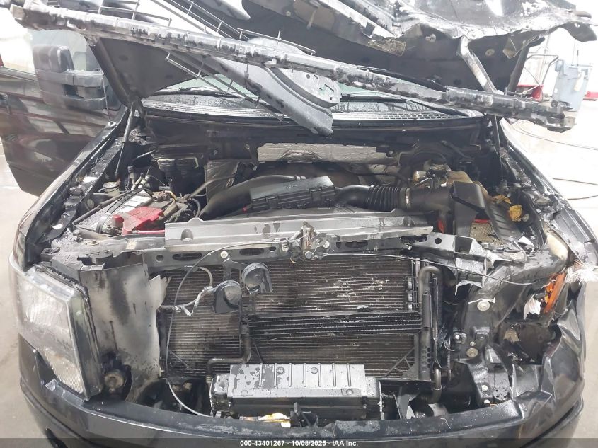 2013 Ford F-150 Fx4 VIN: 1FTFW1ETXDKD38114 Lot: 43401267