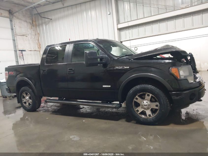 2013 Ford F-150 Fx4 VIN: 1FTFW1ETXDKD38114 Lot: 43401267
