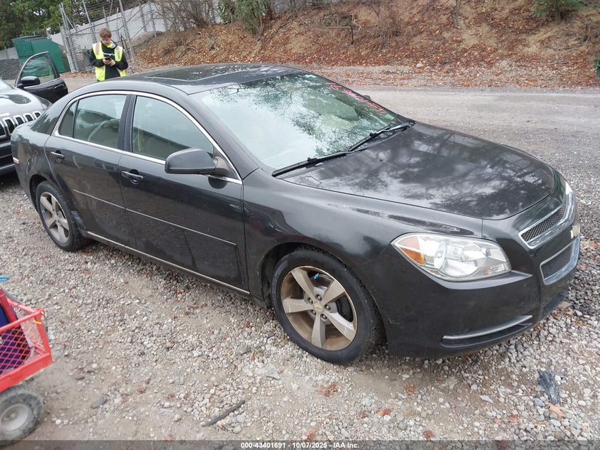 CHEVROLET MALIBU 1LT