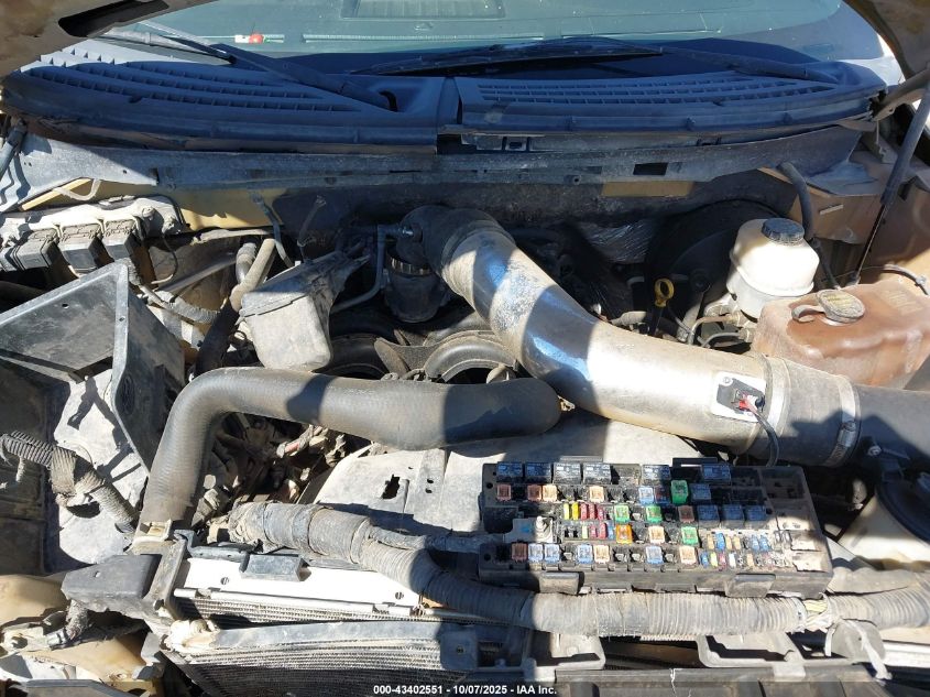 2009 Ford F-150 Fx4/Lariat/Xl/Xlt VIN: 1FTPX14V69KB48094 Lot: 43402551