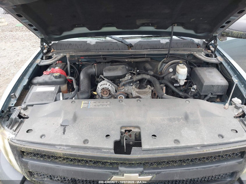 2007 Chevrolet Silverado 1500 Work Truck VIN: 1GCEC14X17Z624339 Lot: 43402677