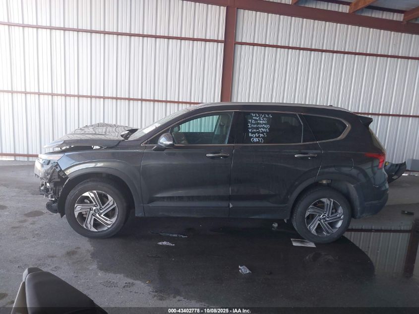 2023 Hyundai Santa Fe Sel VIN: 5NMS2DAJXPH643905 Lot: 43402778