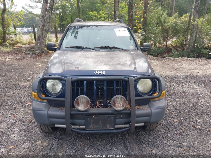 2006 Jeep Liberty Renegade VIN: 1J4GL38K66W128028 Lot: 43402835