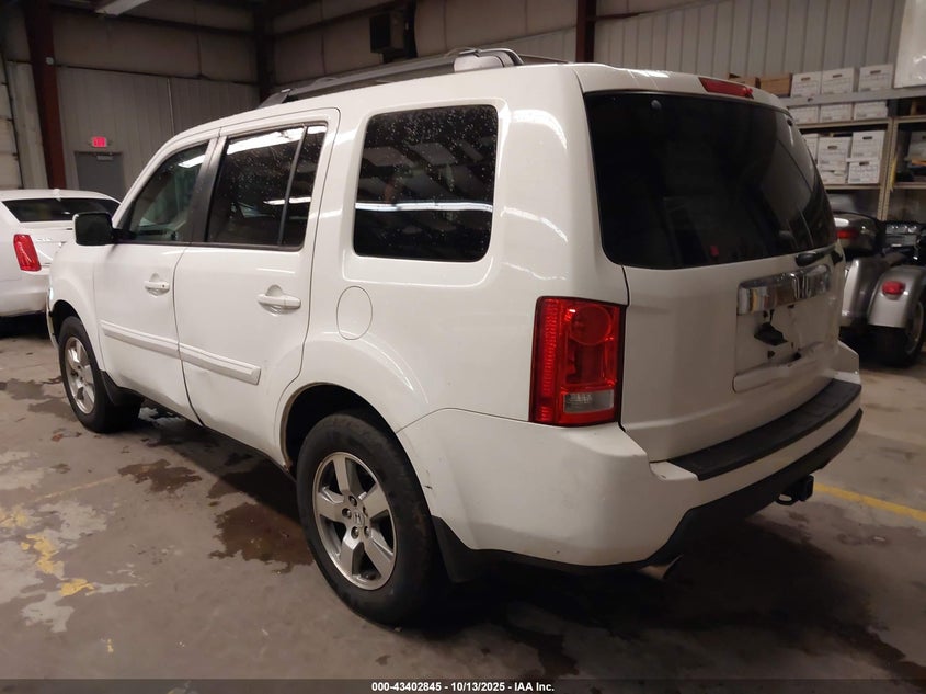 Vin: 5fnyf4h58bb049895, lot: 43897646, honda pilot exl 20113