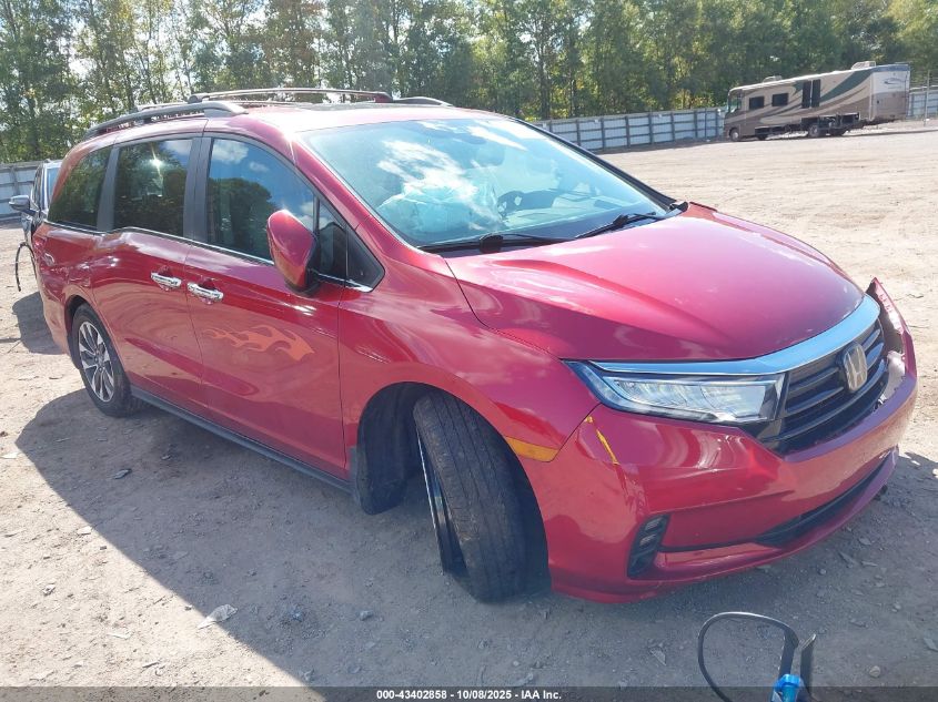 2023 Honda Odyssey Ex-L VIN: 5FNRL6H64PB019866 Lot: 43402858