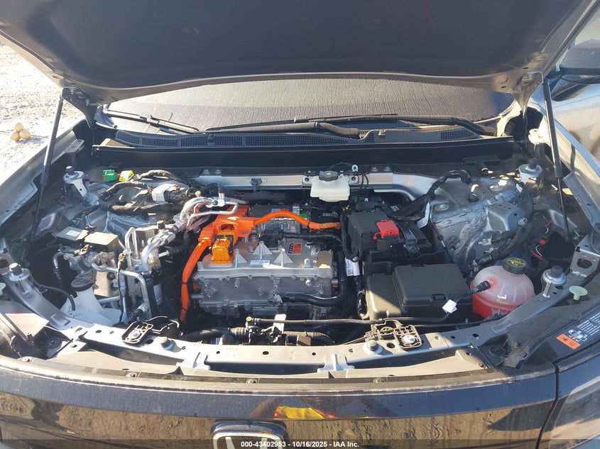 2024 Honda Prologue Ex VIN: 3GPKHURM7RS536821 Lot: 43402953