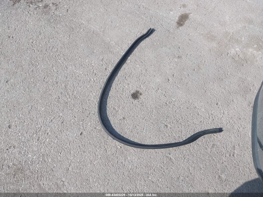 2009 Ford E-350 Super Duty Commercial/Recreational VIN: 1FTSS34L89DA40034 Lot: 43403229