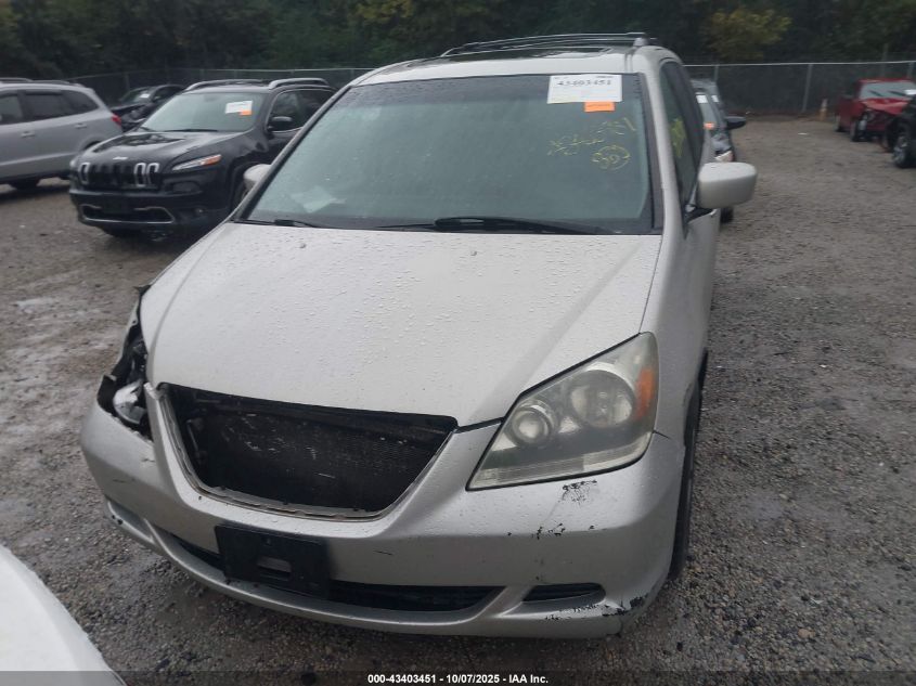 2005 Honda Odyssey Ex-L VIN: 5FNRL38725B013679 Lot: 43403451