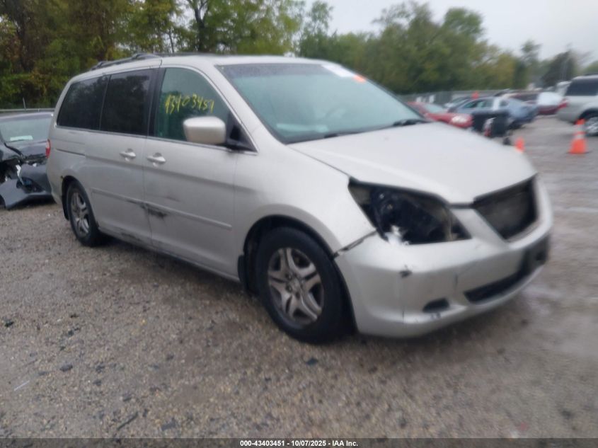2005 Honda Odyssey Ex-L VIN: 5FNRL38725B013679 Lot: 43403451