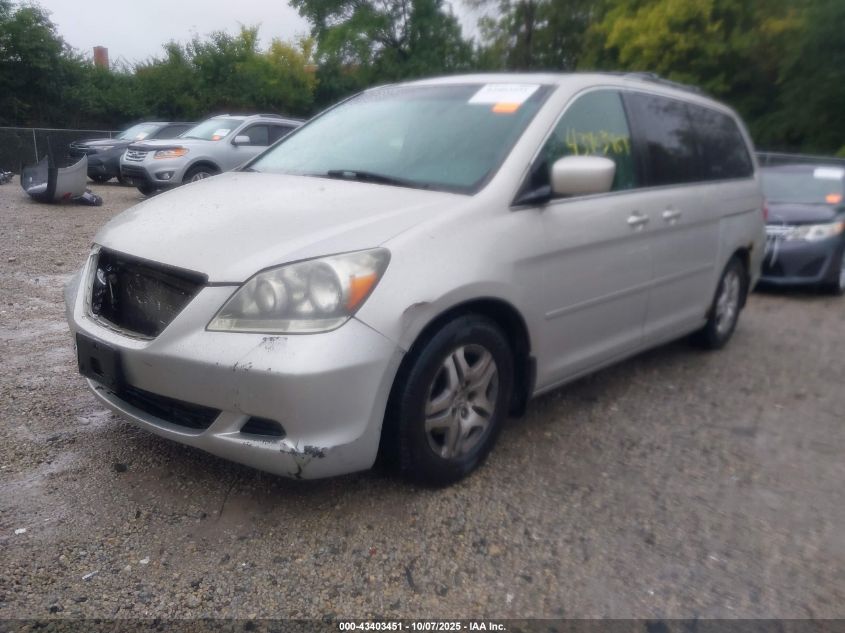 2005 Honda Odyssey Ex-L VIN: 5FNRL38725B013679 Lot: 43403451
