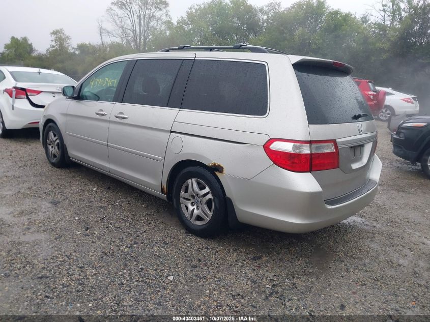 2005 Honda Odyssey Ex-L VIN: 5FNRL38725B013679 Lot: 43403451