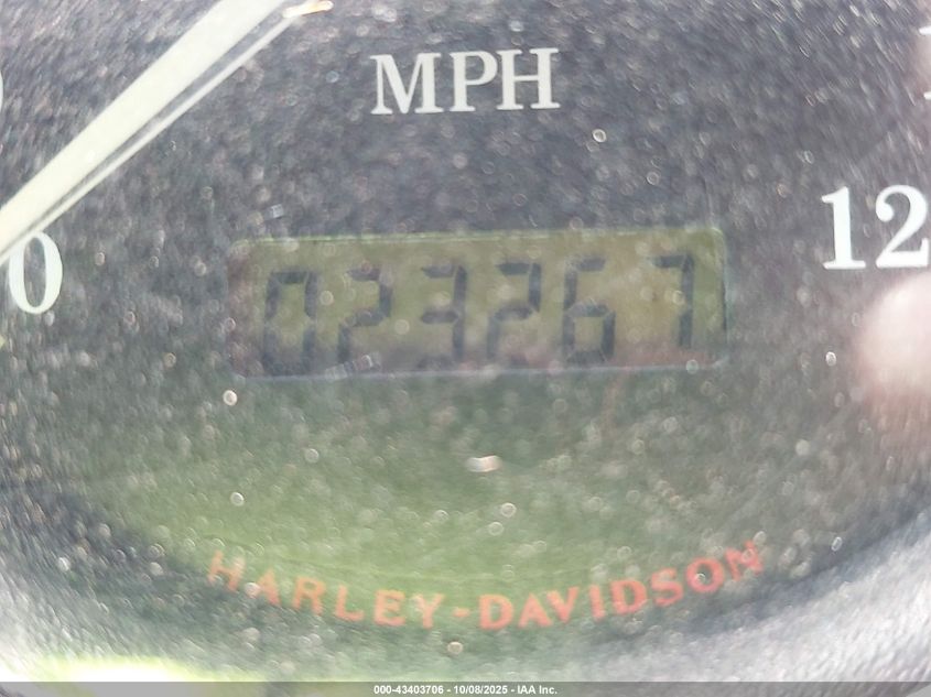 1999 Harley-Davidson Xl1200 C VIN: 1HD1CGP12XK125419 Lot: 43403706