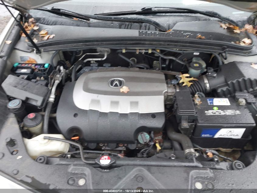 2010 Acura Zdx VIN: 2HNYB1H45AH501449 Lot: 43403731