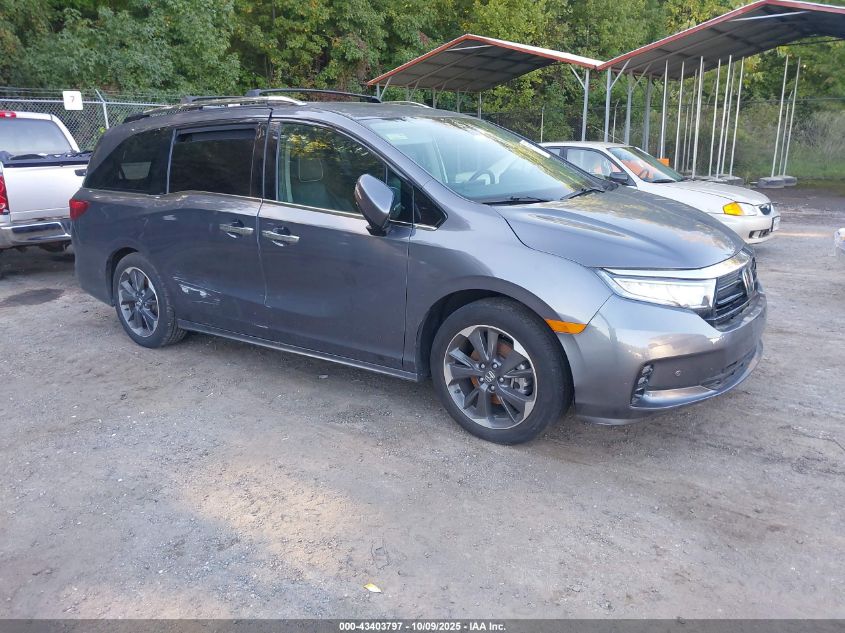 HONDA ODYSSEY ELITE