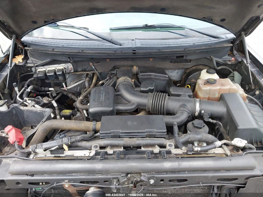 2009 Ford F150 Supercrew VIN: 1FTPW14V89KB50237 Lot: 43403841