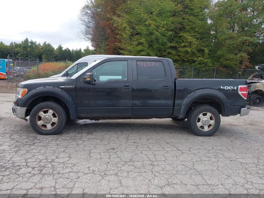 2009 Ford F150 Supercrew VIN: 1FTPW14V89KB50237 Lot: 43403841