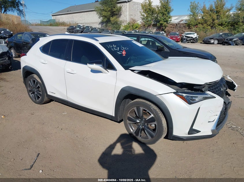 LEXUS UX 250H UX 250H