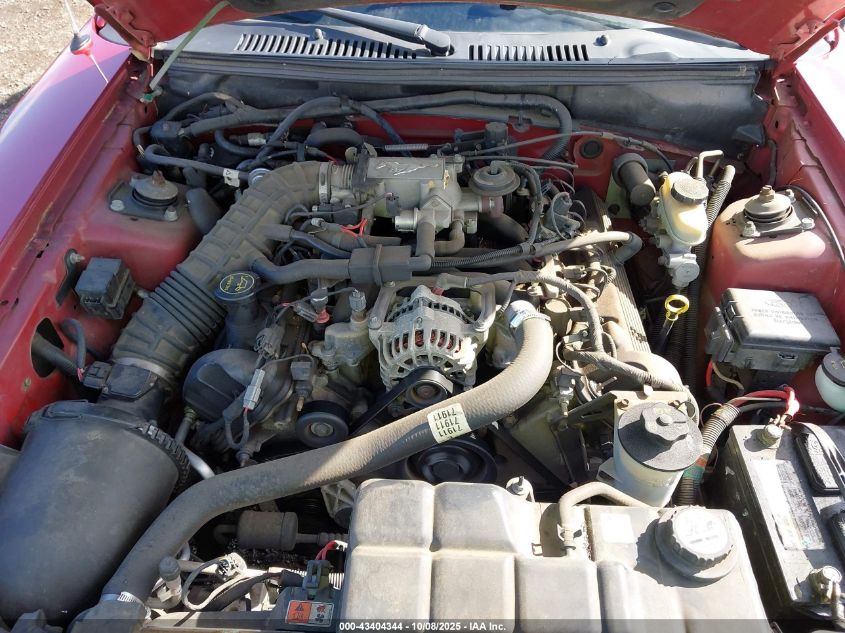 2004 Ford Mustang Gt VIN: 1FAFP42X54F100661 Lot: 43404344