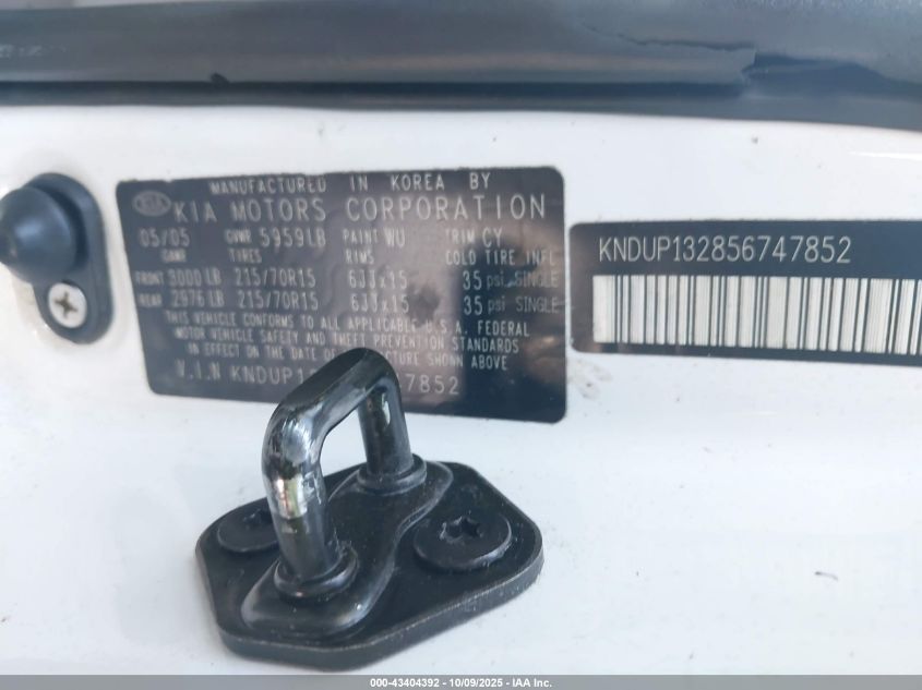 2005 Kia Sedona Ex/Lx VIN: KNDUP132856747852 Lot: 43404392