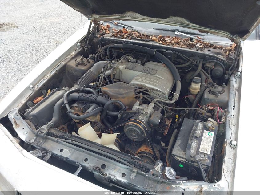 1988 Mercury Cougar Ls VIN: 1MEBM60F3JH719894 Lot: 43404510