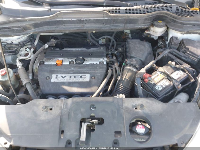 2007 Honda Cr-V Exl VIN: JHLRE387X7C005097 Lot: 43404589