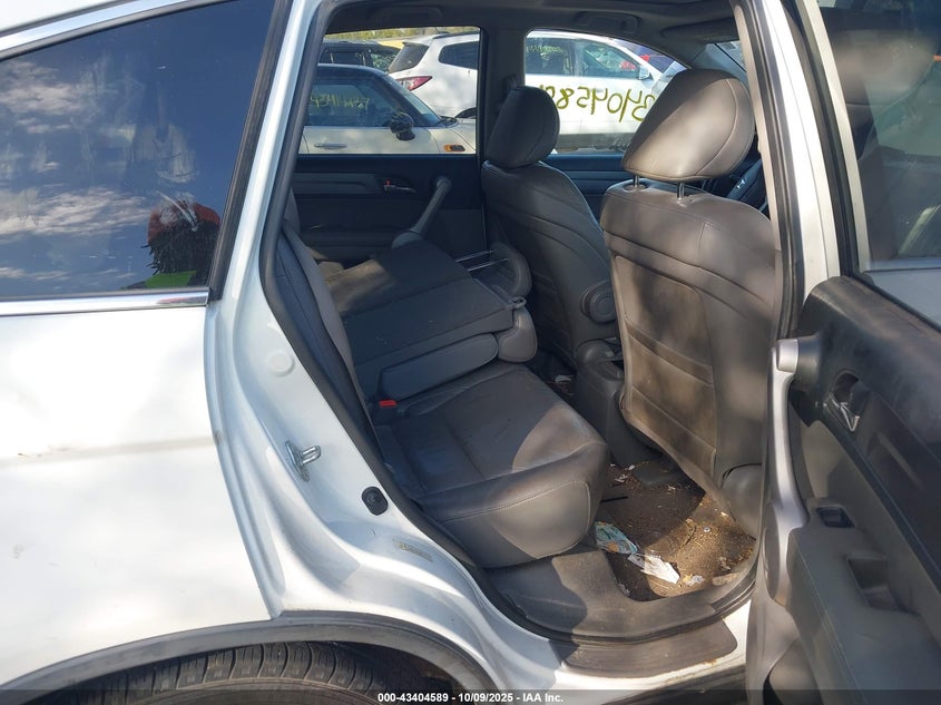 2007 Honda Cr-V Exl VIN: JHLRE387X7C005097 Lot: 43404589