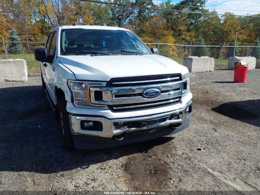 2019 Ford F-150 Xlt VIN: 1FTFW1E5EKFB30290 Lot: 43404705