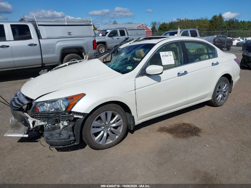 2011 Honda Accord 3.5 Ex-L VIN: 1HGCP3F85BA004891 Lot: 43404716