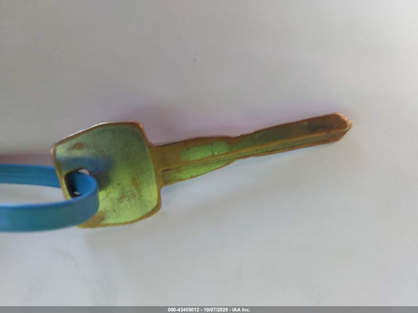 1994 Ford Explorer VIN: 1FMDU32X2RUD79344 Lot: 43405012