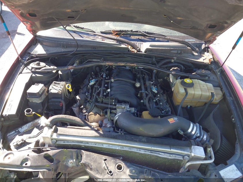 2004 Pontiac Gto VIN: 6G2VX12G24L298225 Lot: 43405122