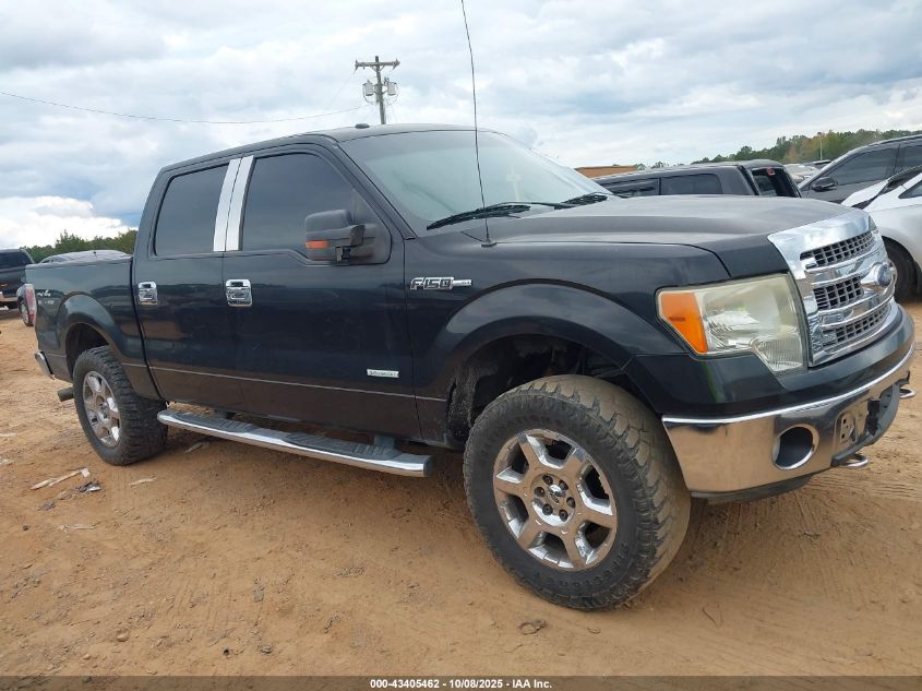 2013 Ford F-150 Xlt VIN: 1FTFW1ET6DKF88031 Lot: 43405462