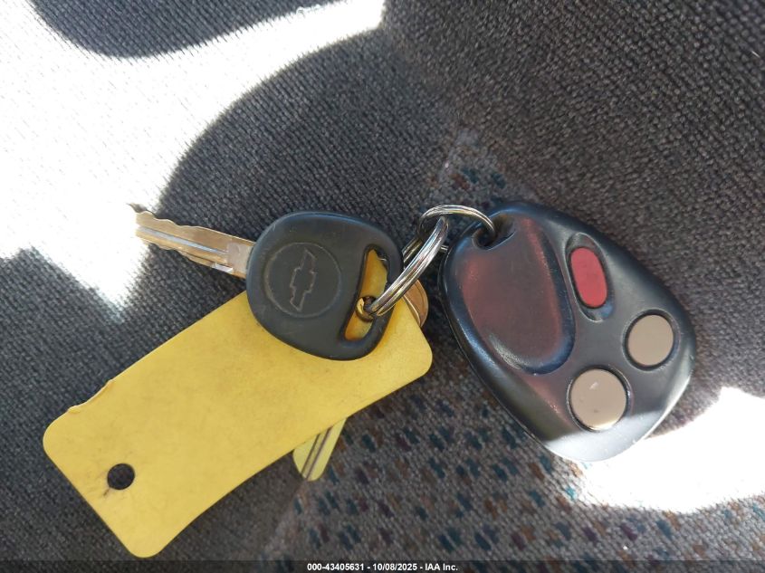 2005 Chevrolet Silverado 1500 Ls VIN: 2GCEC13T451334360 Lot: 43405631