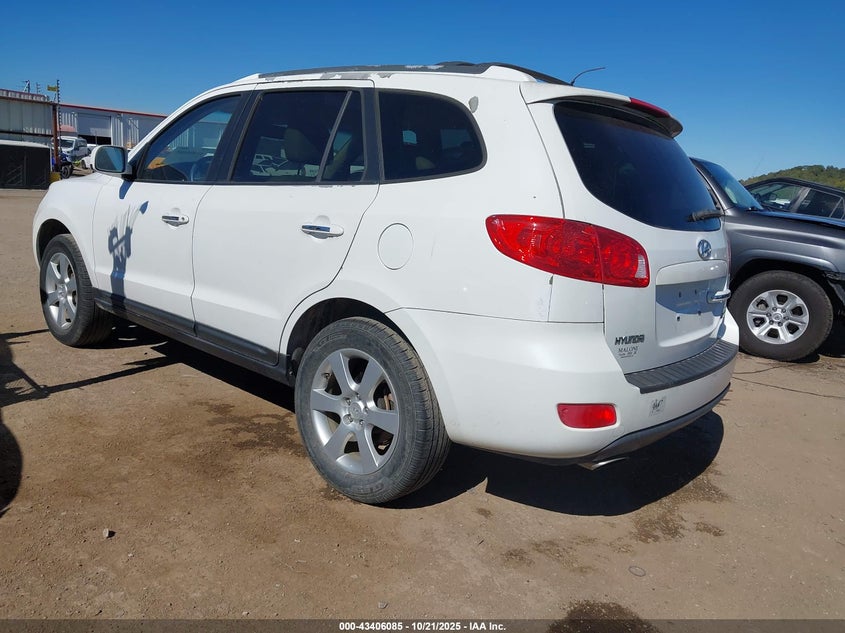 5NMSH13E69H246529 2009 HYUNDAI SANTA FE photo no. 3