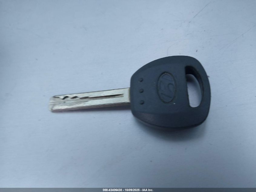 2007 Hyundai Azera Limited/Se VIN: KMHFC46FX7A181824 Lot: 43406438