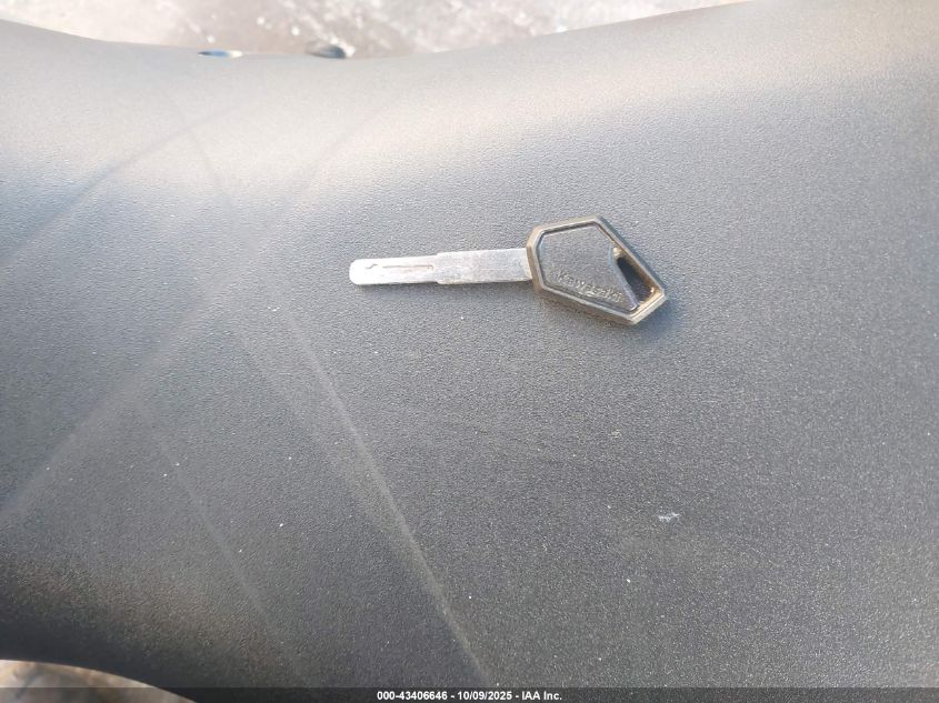 2023 Kawasaki Kl650 K/M VIN: ML5KLEK10PDA19859 Lot: 43406646