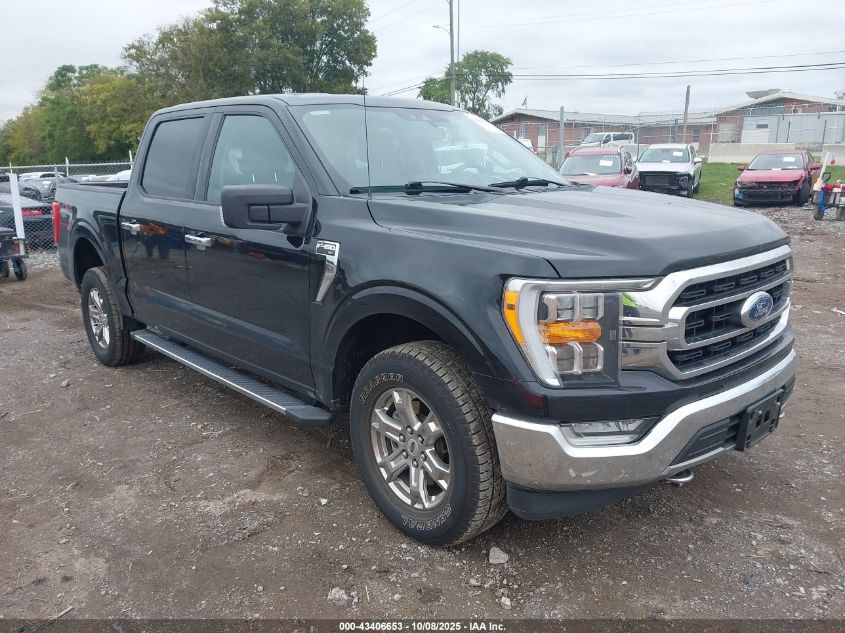 2021 Ford F-150 Xlt VIN: 1FTFW1E53MKD60912 Lot: 43406653