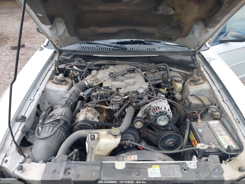 2004 Ford Mustang VIN: 1FAFP44674F133956 Lot: 43406690