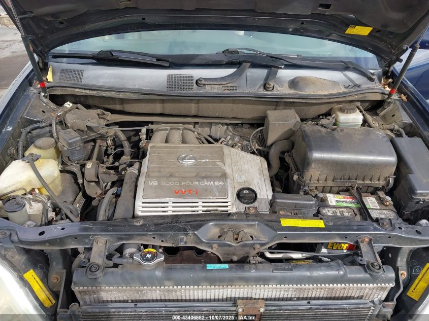 2003 Lexus Rx 300 VIN: JTJHF10U230294321 Lot: 43406882