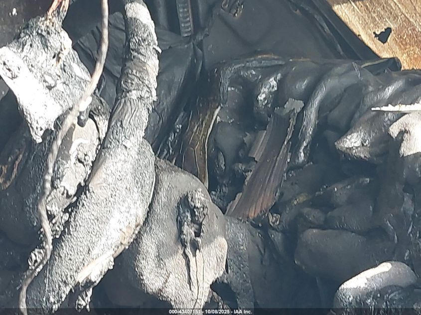 2022 Mercedes-Benz Sprinter 2500 Standard Roof I4 VIN: W1Y40BHY1NT118275 Lot: 43407151