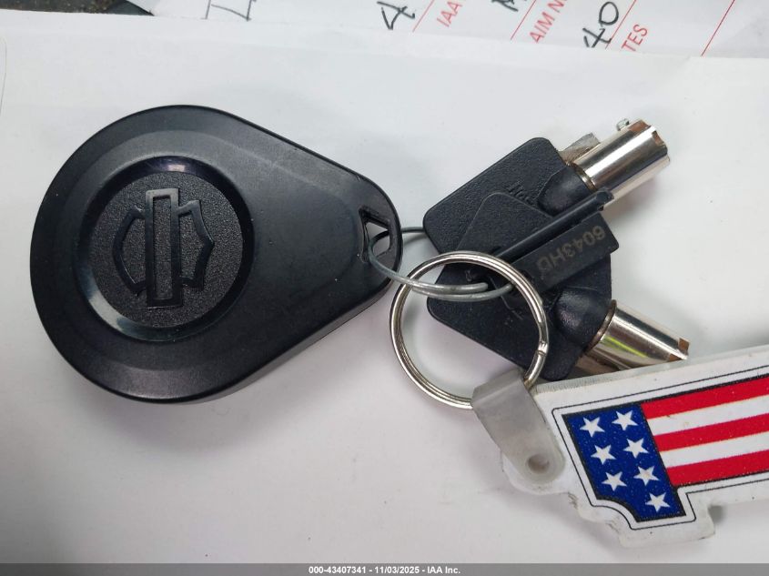 2023 Harley-Davidson Fltrxst VIN: 1HD1ACL19PB621130 Lot: 43407341