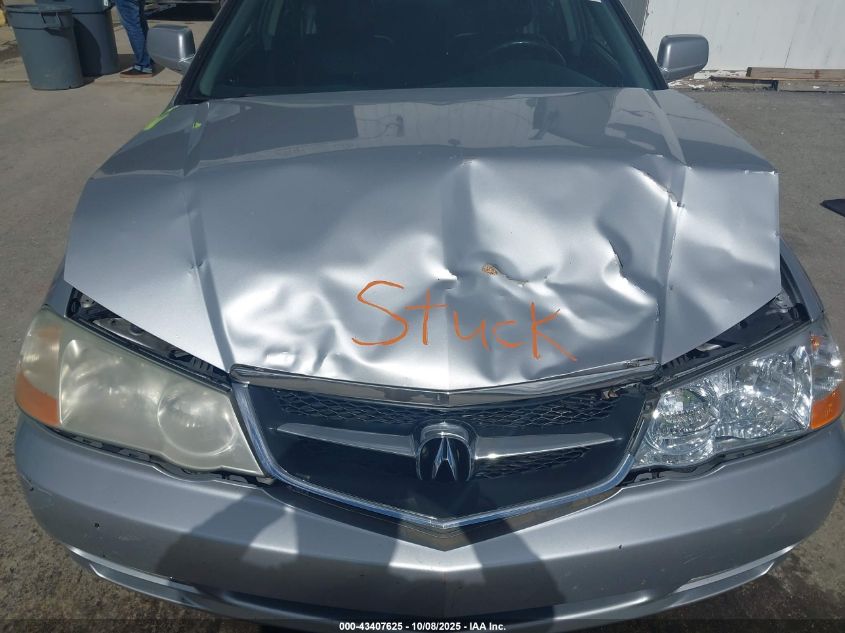 2003 Acura Tl 3.2 VIN: 19UUA56733A010523 Lot: 43407625