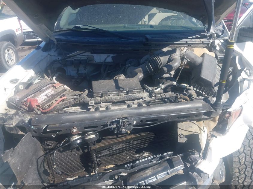 2010 Ford F-150 Fx4/Harley-Davidson/King Ranch/Lariat/Platinum/Xl/Xlt VIN: 1FTFW1EVXAFA79663 Lot: 43407673