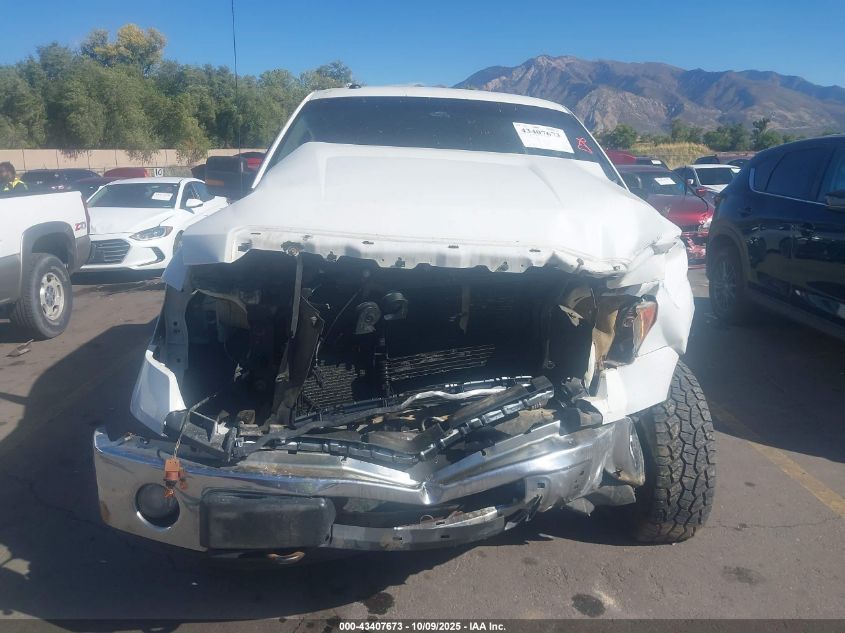 2010 Ford F-150 Fx4/Harley-Davidson/King Ranch/Lariat/Platinum/Xl/Xlt VIN: 1FTFW1EVXAFA79663 Lot: 43407673