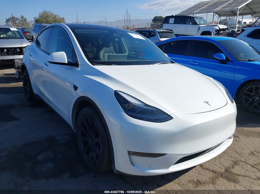 TESLA MODEL Y AWD/LONG RANGE DUAL MOTOR ALL-WHEEL DRIVE