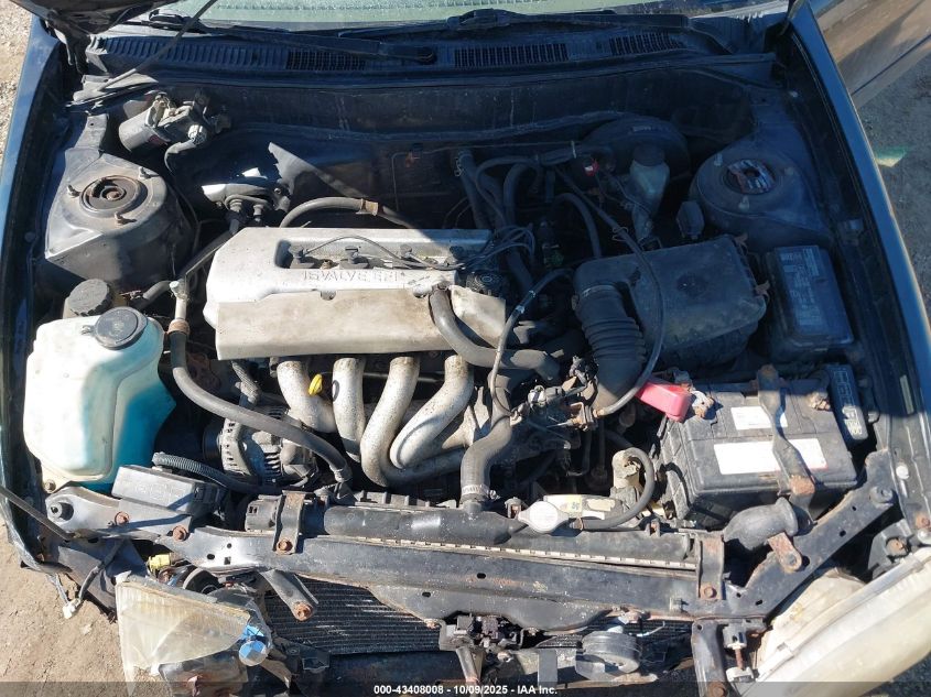 1999 Toyota Corolla Ve VIN: 2T1BR12E0XC245037 Lot: 43408008