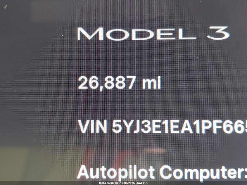 2023 Tesla Model 3 Rear-Wheel Drive VIN: 5YJ3E1EA1PF665426 Lot: 43408093