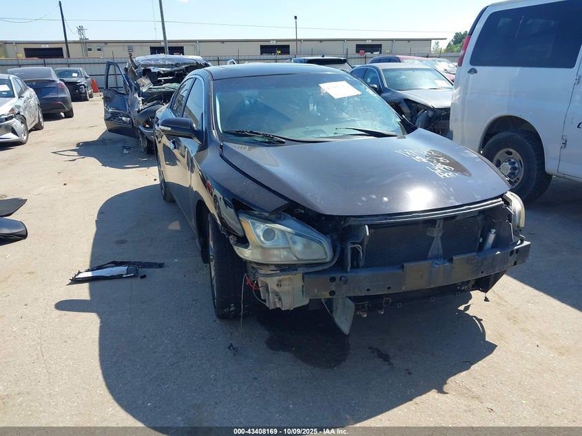 NISSAN MAXIMA 3.5 SV