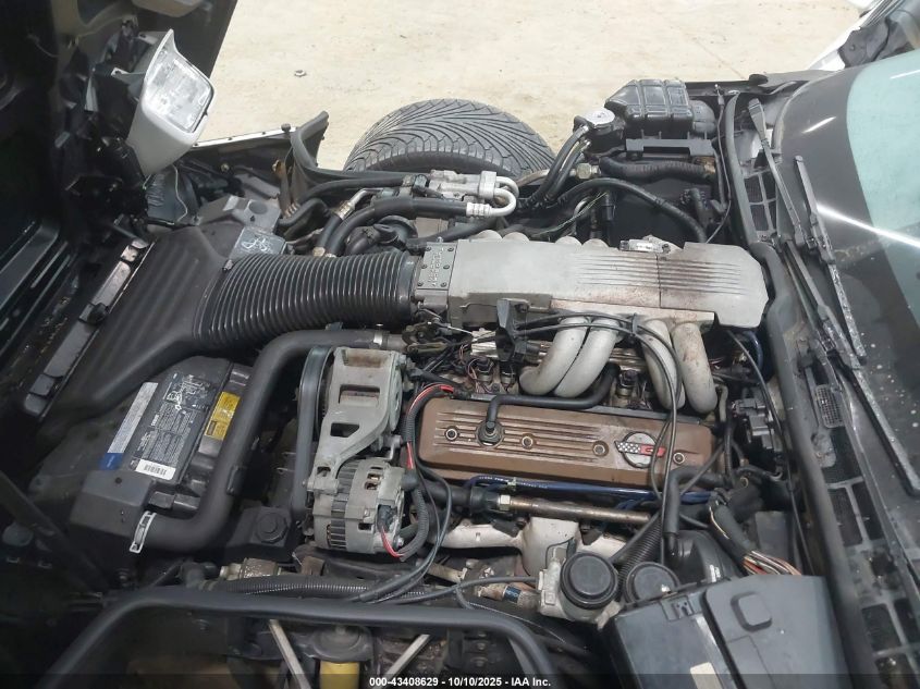 1990 Chevrolet Corvette VIN: 1G1YY238XL5116900 Lot: 43408629