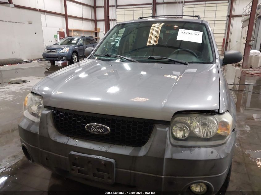 2007 Ford Escape Xlt/Xlt Sport VIN: 1FMCU93147KB17097 Lot: 43408863